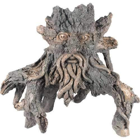 Sunken Tree Of Knowledge #6 Driftwood