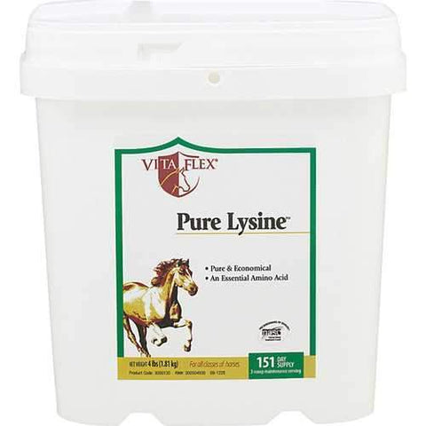 Pure Lysine Amino Acid Supplement For Horses